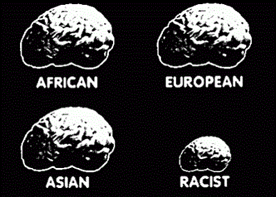 racist-small-brain